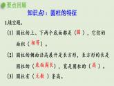 西師大版六年級(jí)數(shù)學(xué)下冊(cè) 二 圓柱和圓錐 第7課時(shí)  整理與復(fù)習(xí) 課件