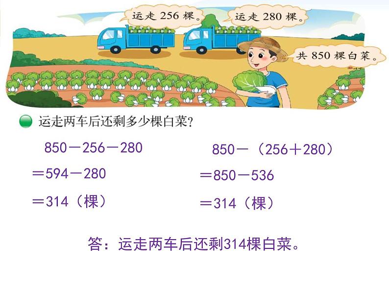 北师大版数学三年级上册 3.2 运白菜课件02