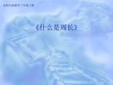 北师大版数学三年级上册 5.1 《什么是周长》(2)课件