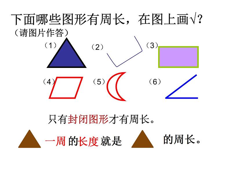 北师大版数学三年级上册 5.1 什么是周长(2)课件第5页