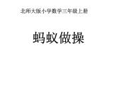 北师大版数学三年级上册 6.1《蚂蚁做操》课件