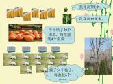 北师大版数学二年级上册 9.2 农家小院_（课件）