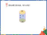 3.1圆柱的认识 课件PPT+教案+练习