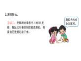 寻找身体上的数学“秘密”PPT课件免费下载