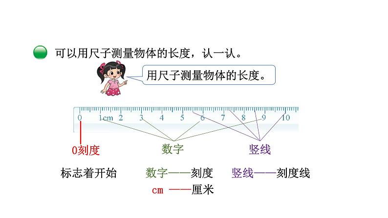 2021-2022学年度北师版二年级数学上册课件 第2课时  课桌有多长第4页