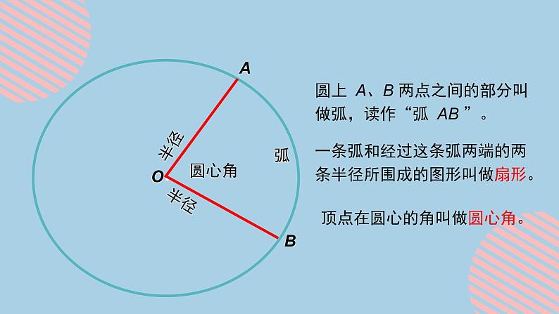 5.6人教版数学六年级上册第五单元第6课时《扇形的认识》课件第3页