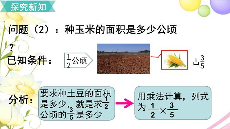 人教版六年级数学上册第1单元分数乘法第3课时分数乘分数（1）课件08