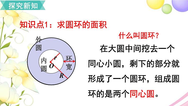 人教版六年级数学上册第5单元圆第5课时圆的面积（2）课件第3页