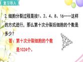 数学广角——数与形PPT课件免费下载
