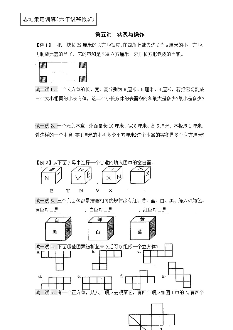 【专项创优】苏教版6年级数学下册 典例+练习 第5讲 实践与操作（不含答案）第1页