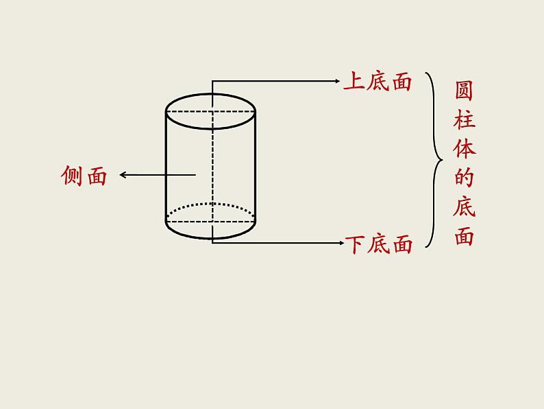 北师大版数学六下1.1 面的旋转（课件2）第5页