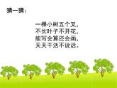 植树问题例1课件PPT