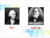 五年级下册数学课件－3.2《质数与合数》  ｜北京版