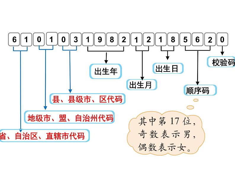 北师大版 数学四年级上册 数学好玩   编码(1)（课件）05