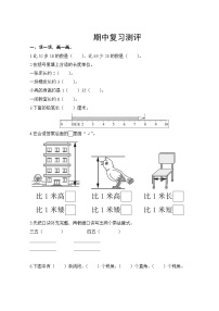 人教版小学数学二年级上册  期中复习测评  试卷（含答案）