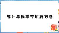人教版数学四下 统计与概率专项复习卷+答案+讲解PPT