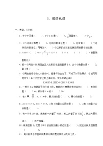 小学数学毕业分类复习卷10份