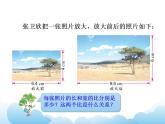 4.2 比例的意义课件