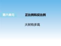 小学数学苏教版六年级下册六 正比例和反比例教案配套课件ppt