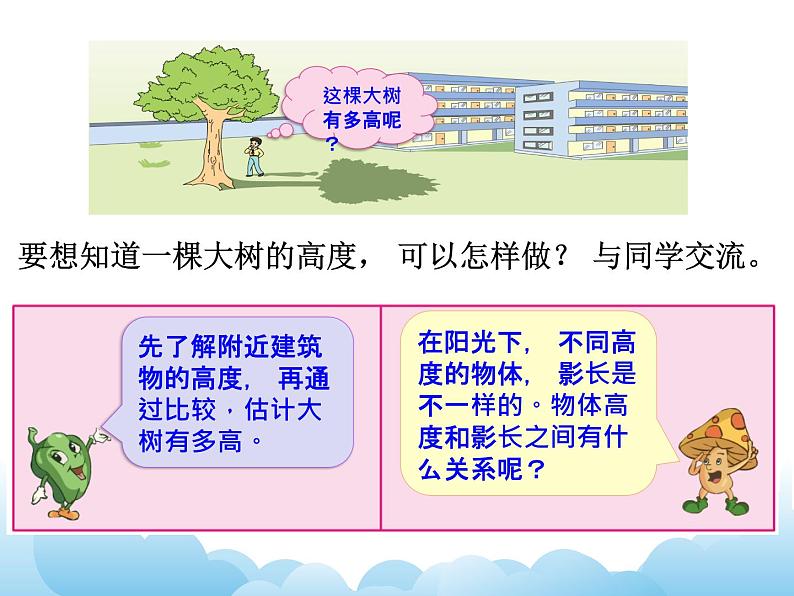 6.6 大树有多高课件04