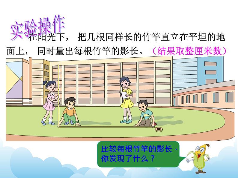 6.6 大树有多高课件05