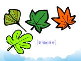 1.3軸對(duì)稱(chēng)圖形課件教案