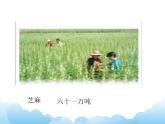 2.1万级数的认识课件教案