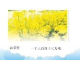 2.1万级数的认识课件教案