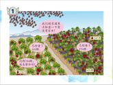 第6單元：田園小衛(wèi)士1《三位數(shù)的連續(xù)進位加法和退位減法（信息窗1）》參考課件1