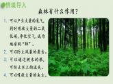 西师大版五年级数学下册 四 分数加减法 第5课时  一年“吃掉”多少森林 课件