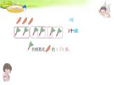 七 制作标本——表内除法-倍的认识 课件-2021-2022学年青岛版数学二年级上册