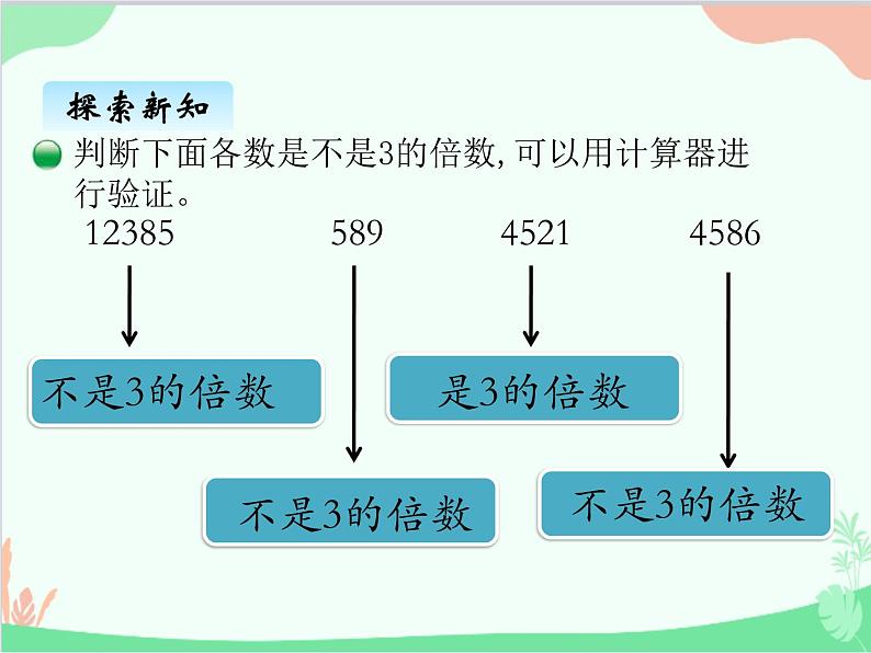 探索活动：2、5的倍数的特征PPT课件免费下载05