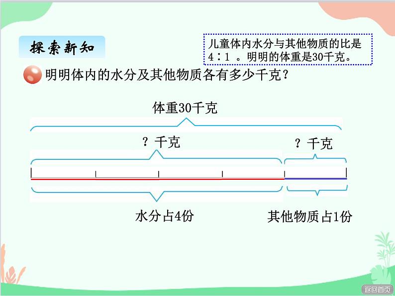 青岛版（五四制）五年级上册 七、4按比分配1 课件第3页