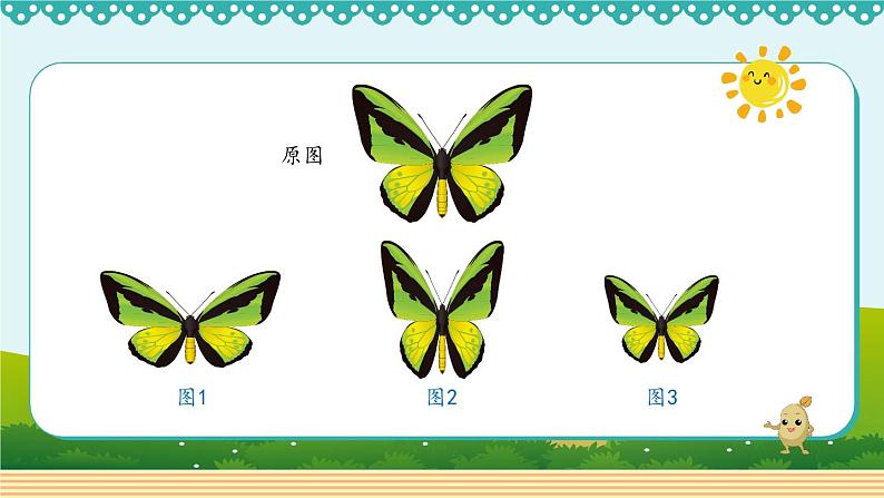 人教版数学 六年级下册 4.3.3《图形的放大和缩小》课件+教案+导学案设计03
