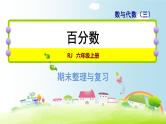 人教版数学六年级上册   整理与复习 专题一  数与代数（三） 百分数 课件