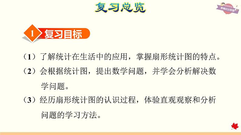 人教版数学六年级下册 整理与复习 专题三  统计 课件第3页