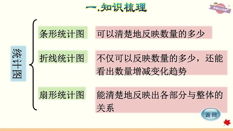 人教版数学六年级下册 整理与复习 专题三  统计 课件第5页