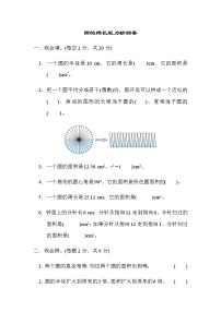 人教版数学六上 周测培优卷9　圆的面积能力检测卷