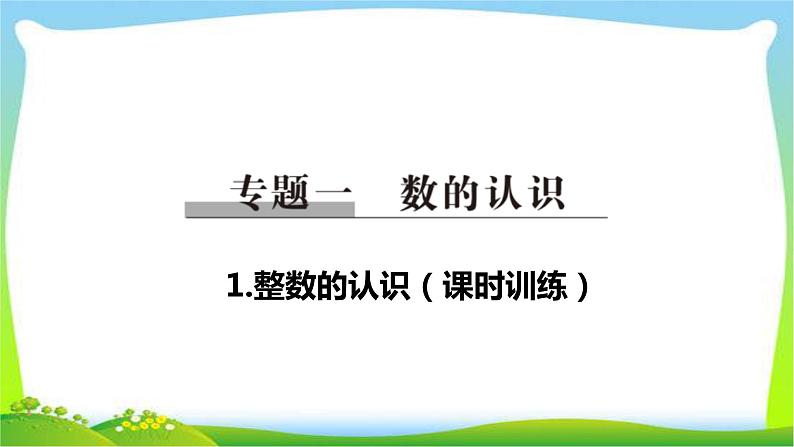 小升初数学总复习1整数的认识完美课件PPT08