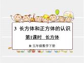 人教版数学五年级下册3.1长方体课件PPT