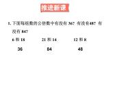 4.14最小公倍数（2）课件PPT