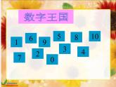 北京小学数学一上《8认识11～20各数》PPT课件 (2)