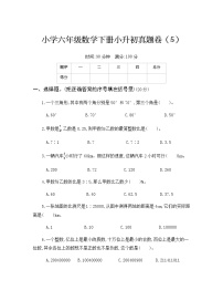 人教版六年级数学下册小升初真题卷（5）附答案