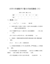 人教版六年级数学下册小升初真题卷（3）附答案