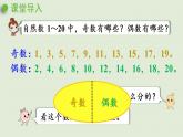 人教版五年级数学下册 2-3-1 质数和合数 课件