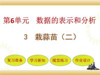 数学四年级下册栽蒜苗（二）课堂教学ppt课件