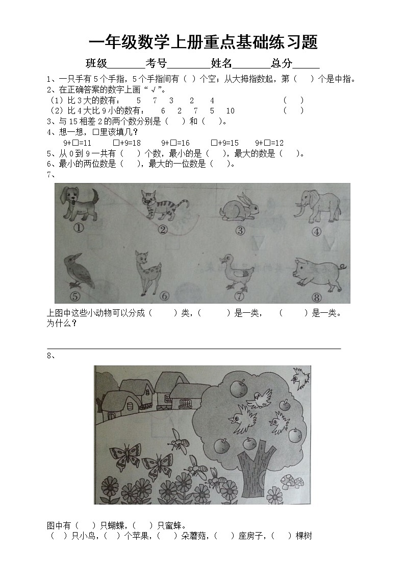 小学数学一年级上册重点基础题专项练习01
