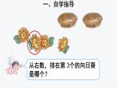 人教版一年级数学上册 3.4 分与合(1)课件