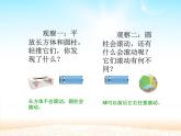 人教版一年级数学上册 4 认识图形（一）(2)课件