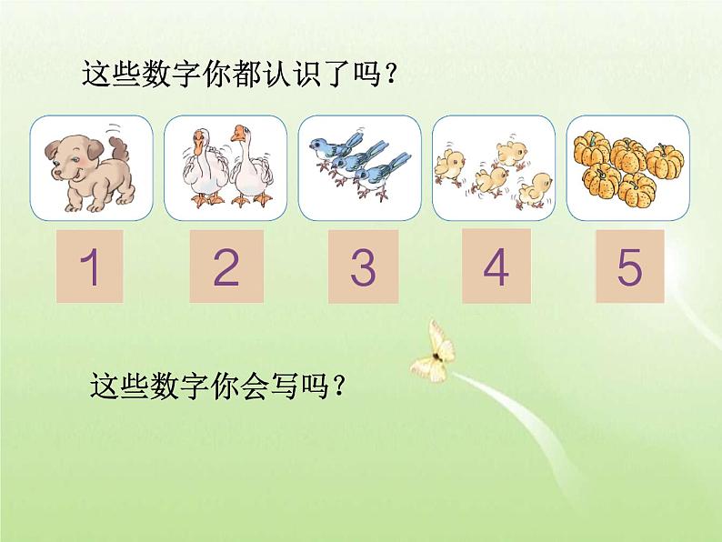 人教版一年级数学上册 3.1 1~5的认识课件06